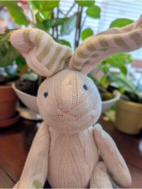 Pottery Barn Kids Knit Bunny with moveable arms and legs